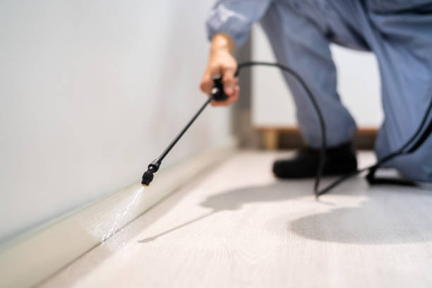 Licensed Pest Control service in Daly City, CA - Nex Pest Control