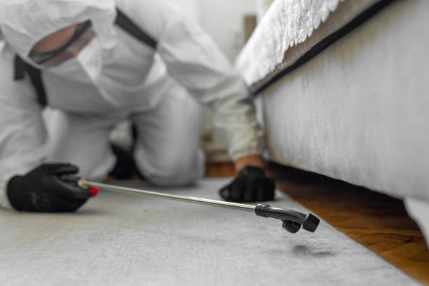 Professional Pest Control technician working in Daly City, CA
