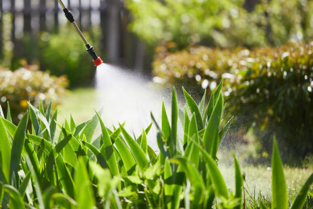 24/7 Emergency Rodent Control experts in Daly City, CA
