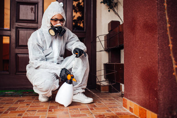 Reliable Rodent Control contractor in Daly City, CA by Nex Pest Control