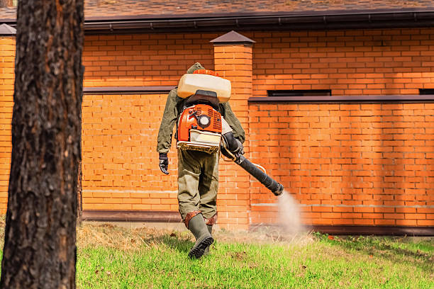 Trusted Mosquito Control service in Daly City, CA - Nex Pest Control